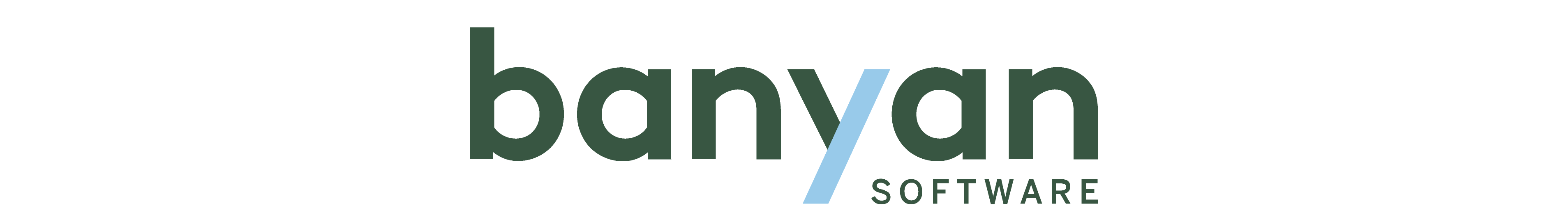 Logo Banyan Software