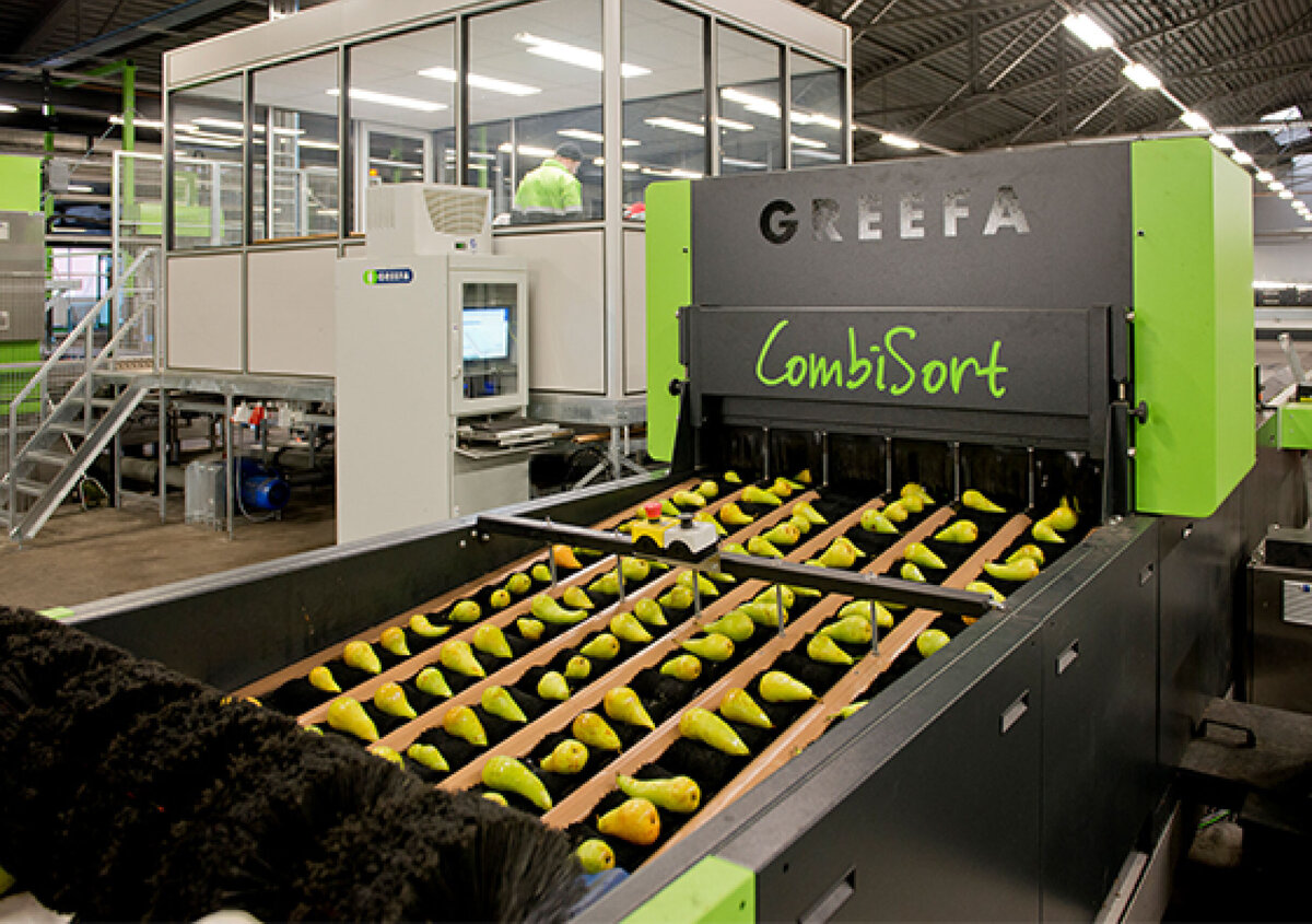 Modern fruit sorting facility inside a production hall. Green pears are transported and automatically sorted on multiple conveyor belts by a machine labeled &laquo;GREEFA CombiSort.&raquo; In the background are a glass-walled control room, technical installations, and conveyor systems. The brightly lit industrial hall conveys the highly automated nature of the fruit processing and logistics operation.