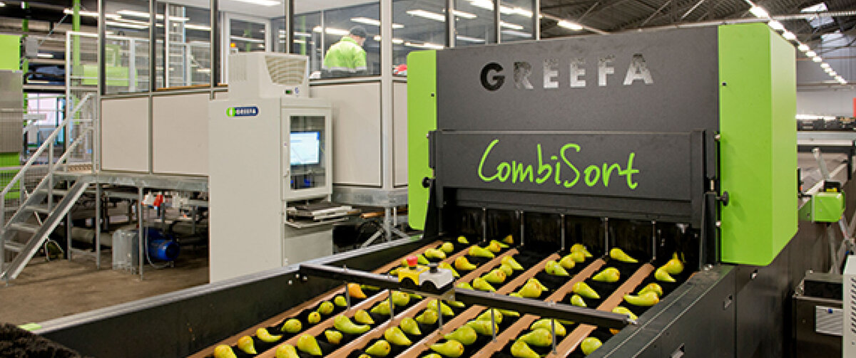 Moderne fruitsorteerinstallatie in een productiehal. Groene peren worden via meerdere transportbanden automatisch getransporteerd en gesorteerd door een machine met de naam 'GREEFA CombiSort'. Op de achtergrond zijn een glazen controlekamer, technische installaties en transportsystemen zichtbaar. De helder verlichte industri&euml;le hal benadrukt het sterk geautomatiseerde karakter van de fruitverwerking en logistieke processen.