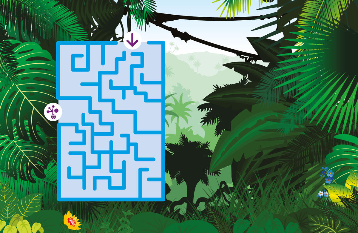 Vektorgrafik Dschungel mit Labyrinth