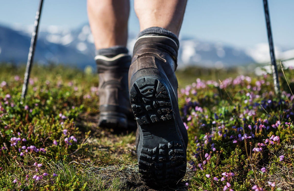 Fotografie der Beine eines Wanderers in den Bergen.