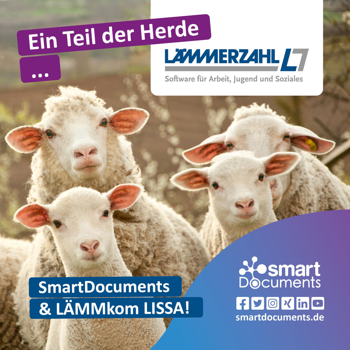 Foto Lämmer mit Schriftzug: SmartDocuments: Ein Teil der Herde ... Unsere Partnerschaft mit LÄMMERZAHL und den Firmenlogos der LÄMMERZAHL GmbH sowie SmartDocuments.